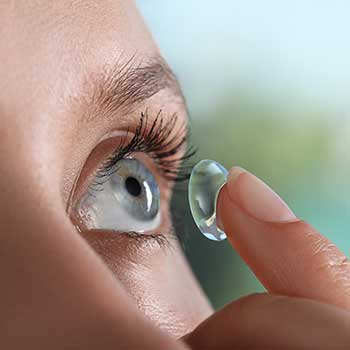 Contact Lenses